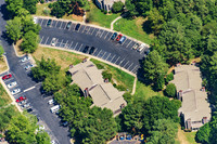the-forest-aerials-301