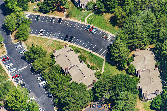 the-forest-aerials-301