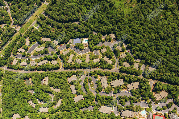 the-forest-aerials-295