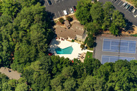 the-forest-aerials-281