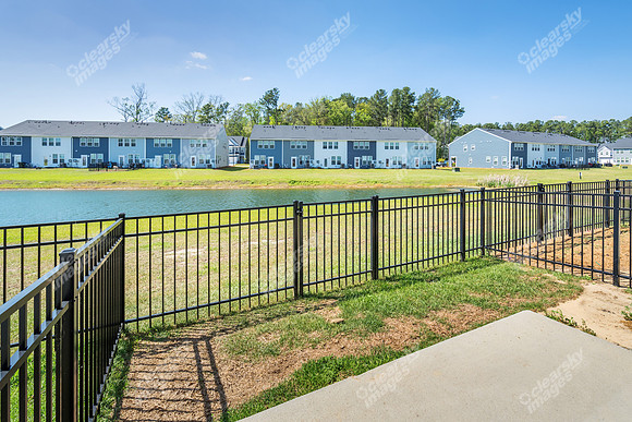 609-trotters-ext4953
