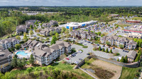 131-gracyn-drn0014