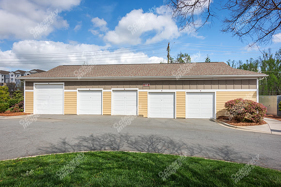 131-gracyn-ext3978