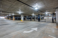 255-w-bland-ext6020