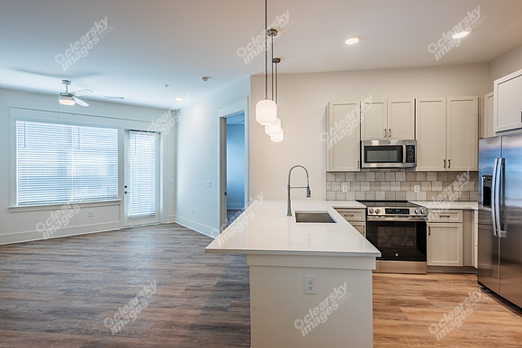 255-w-bland-int6251