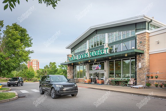 1554-w-mcewen-ext7308
