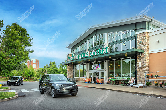 1554-w-mcewen-ext7308E
