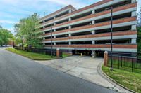2422-erwin-ext8233