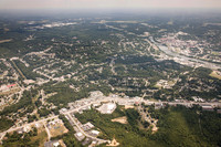piney-forest-0714-346