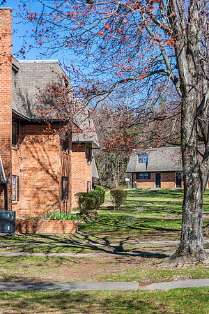 706-huffman-ext4157