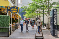 101-s-tryon-ext3090