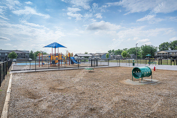 3646-cedar-ext2521