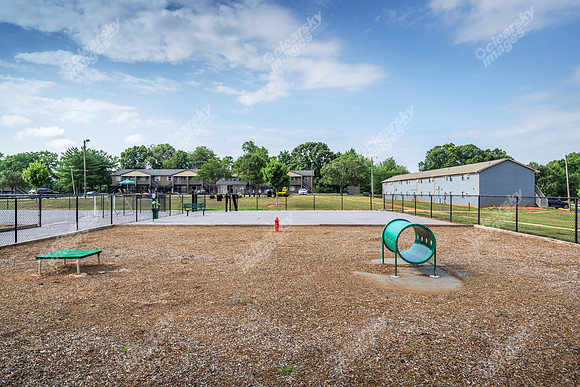 3646-cedar-ext2515