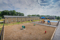 3646-cedar-ext2530