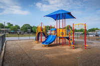 3646-cedar-ext2551