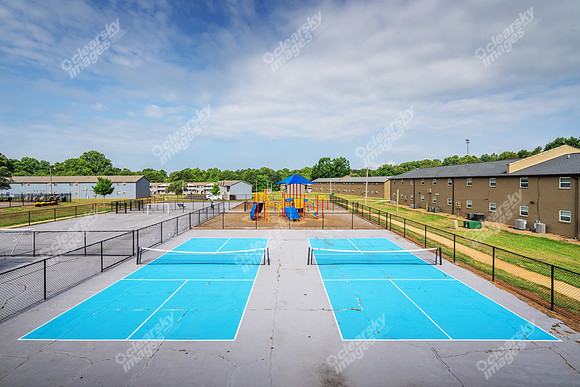 3646-cedar-ext2605