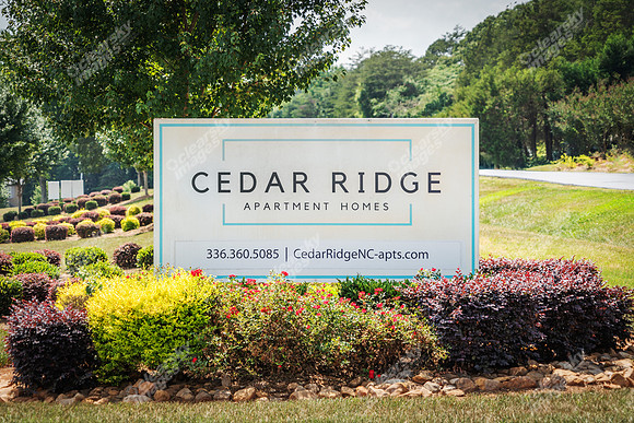 3646-cedar-ext2857
