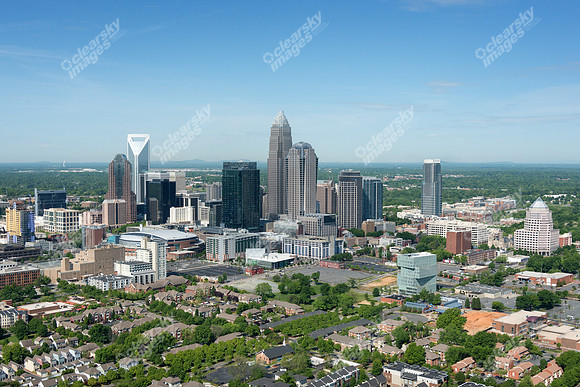 charlotte-cbd-h-0751