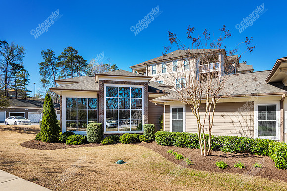7880-triangle-ext8301