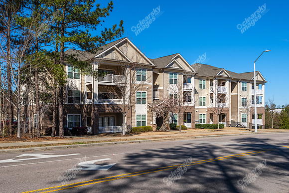 7880-triangle-ext8454