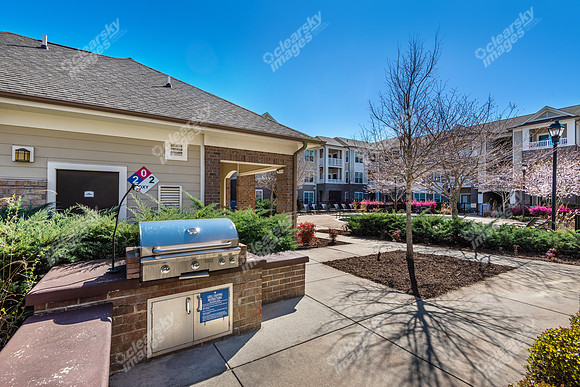 7880-triangle-ext8622
