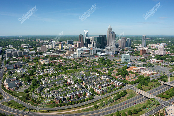 charlotte-cbd-h-0752