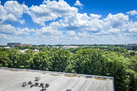 2101-rexford-pano-drn0005