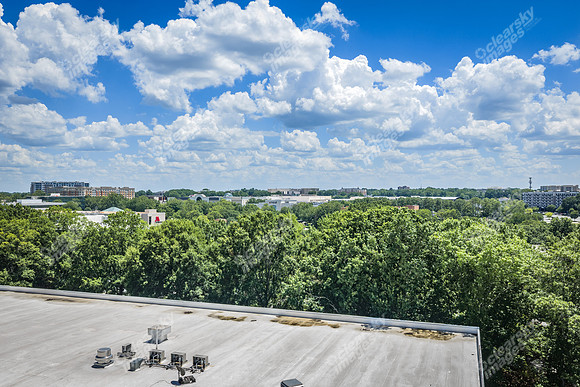 2101-rexford-pano-drn0005
