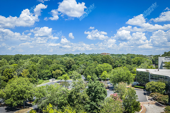2101-rexford-pano-drn0007