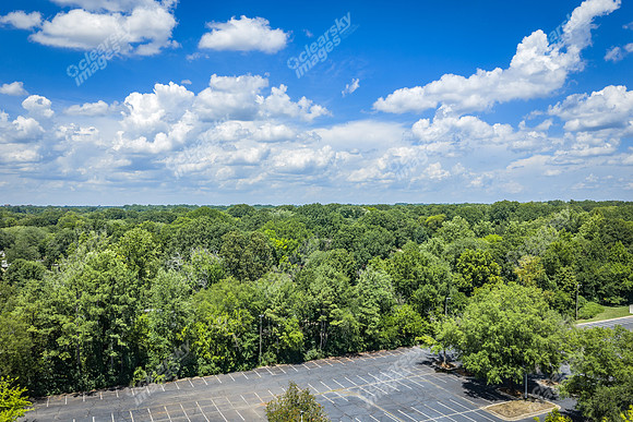 2101-rexford-pano-drn0008