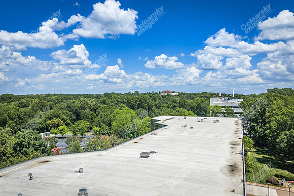2101-rexford-pano-drn0015