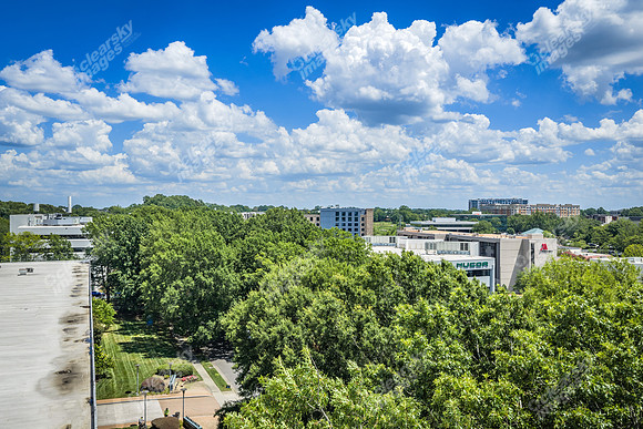 2101-rexford-pano-drn0014
