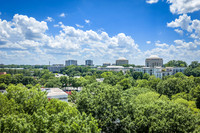 2101-rexford-pano-drn0012