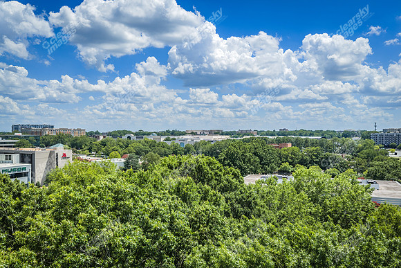 2101-rexford-pano-drn0013