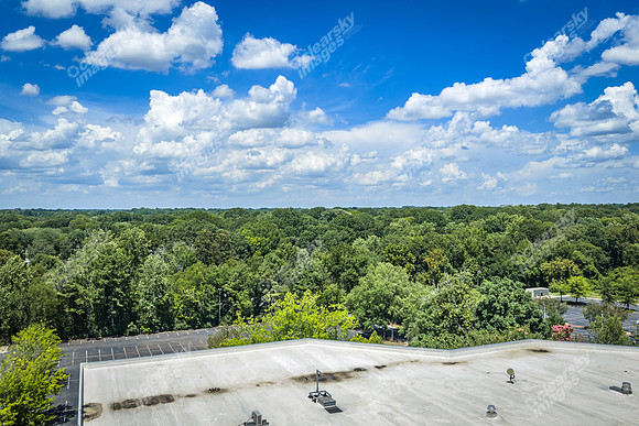 2101-rexford-pano-drn0016