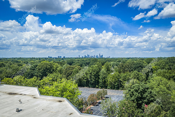 2101-rexford-pano-drn0017