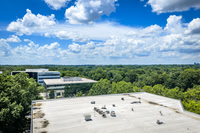2101-rexford-pano-drn0018