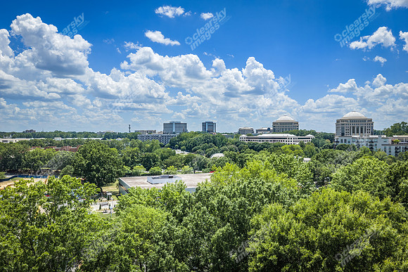 2101-rexford-pano-drn0020