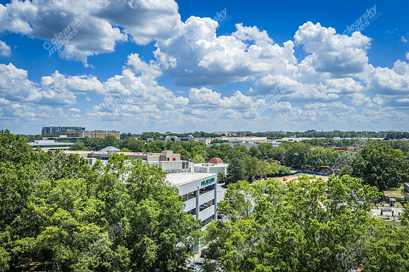 2101-rexford-pano-drn0021
