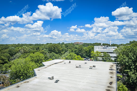 2101-rexford-pano-drn0023