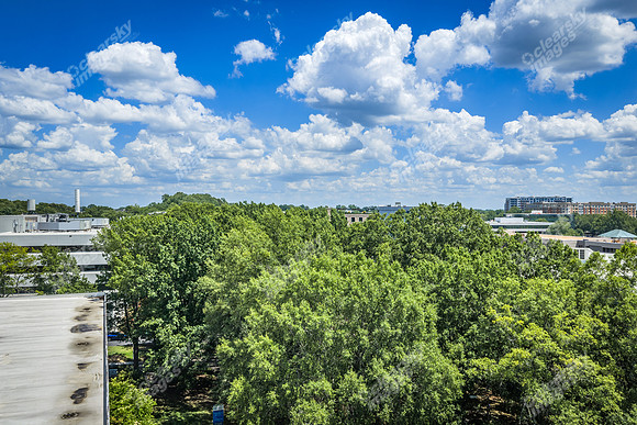 2101-rexford-pano-drn0022