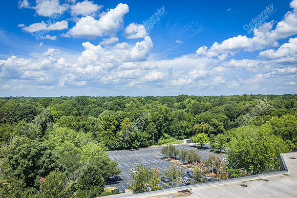 2101-rexford-pano-drn0024