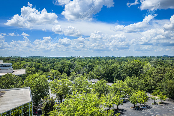 2101-rexford-pano-drn0026