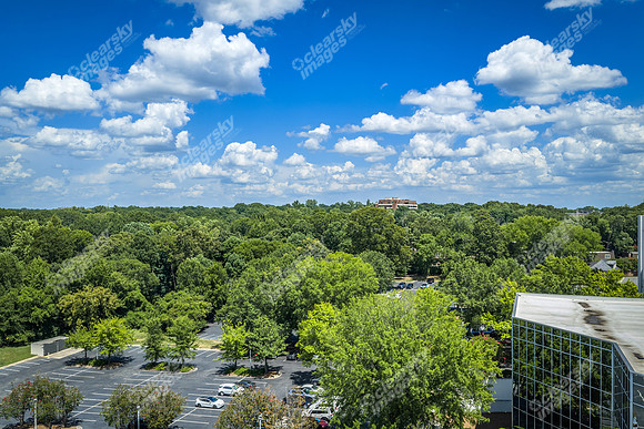 2101-rexford-pano-drn0030