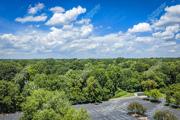 2101-rexford-pano-drn0032