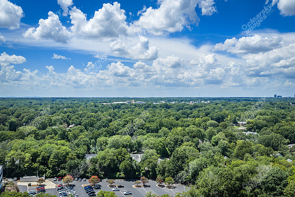 2101-rexford-pano-drn0042