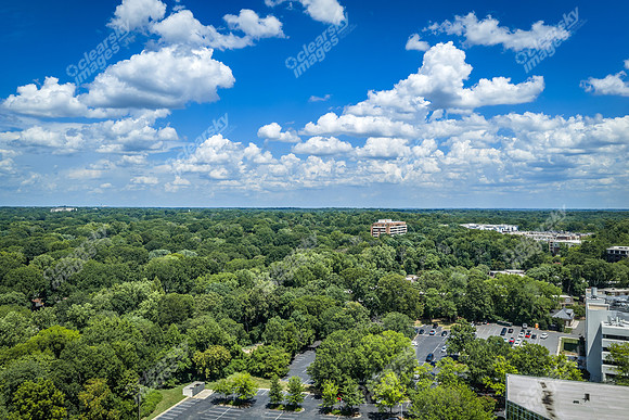 2101-rexford-pano-drn0047