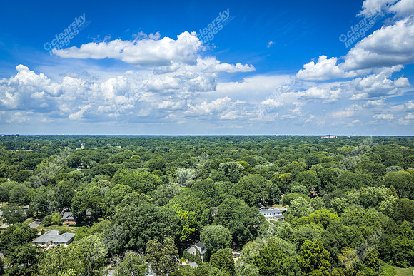 2101-rexford-pano-drn0048