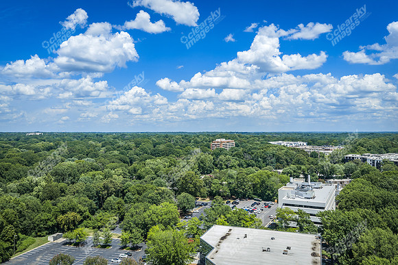 2101-rexford-pano-drn0054