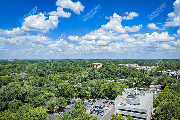 2101-rexford-pano-drn0063